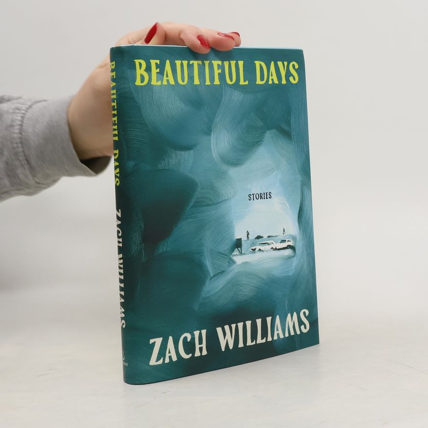 Zach Williams Beautiful Days