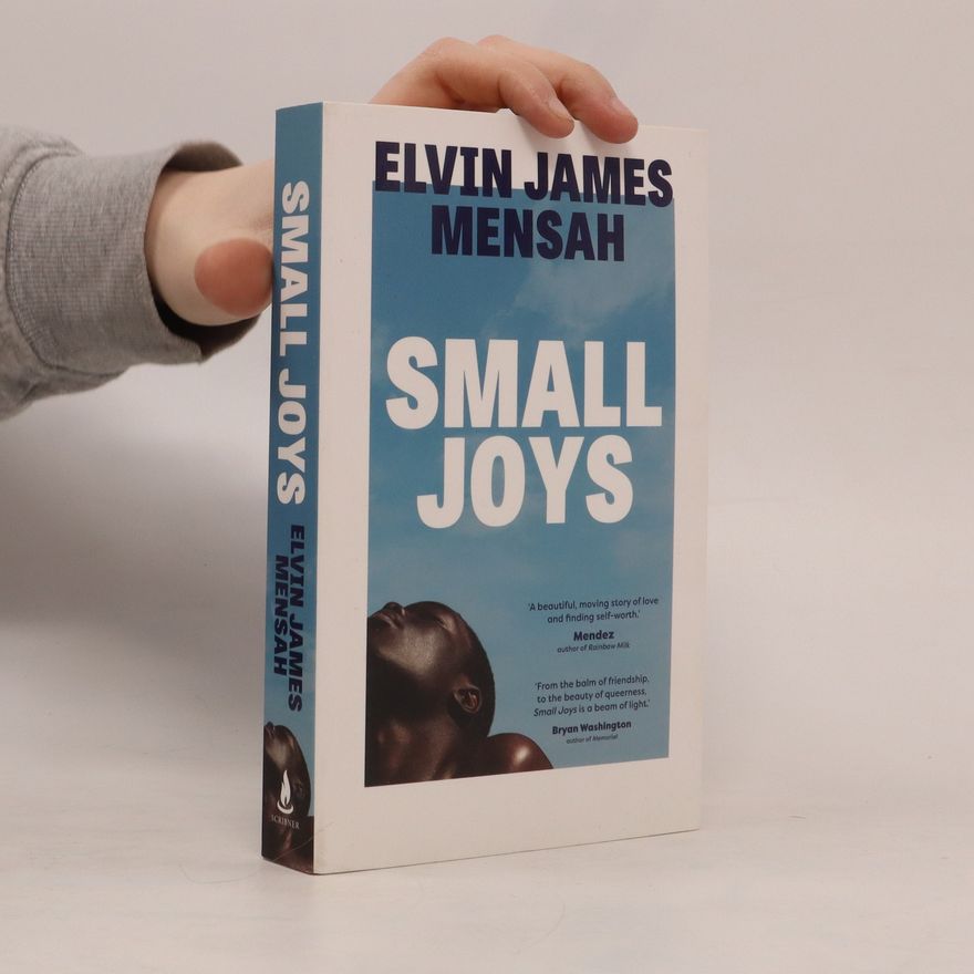 Elvin James Mensah Small Joys