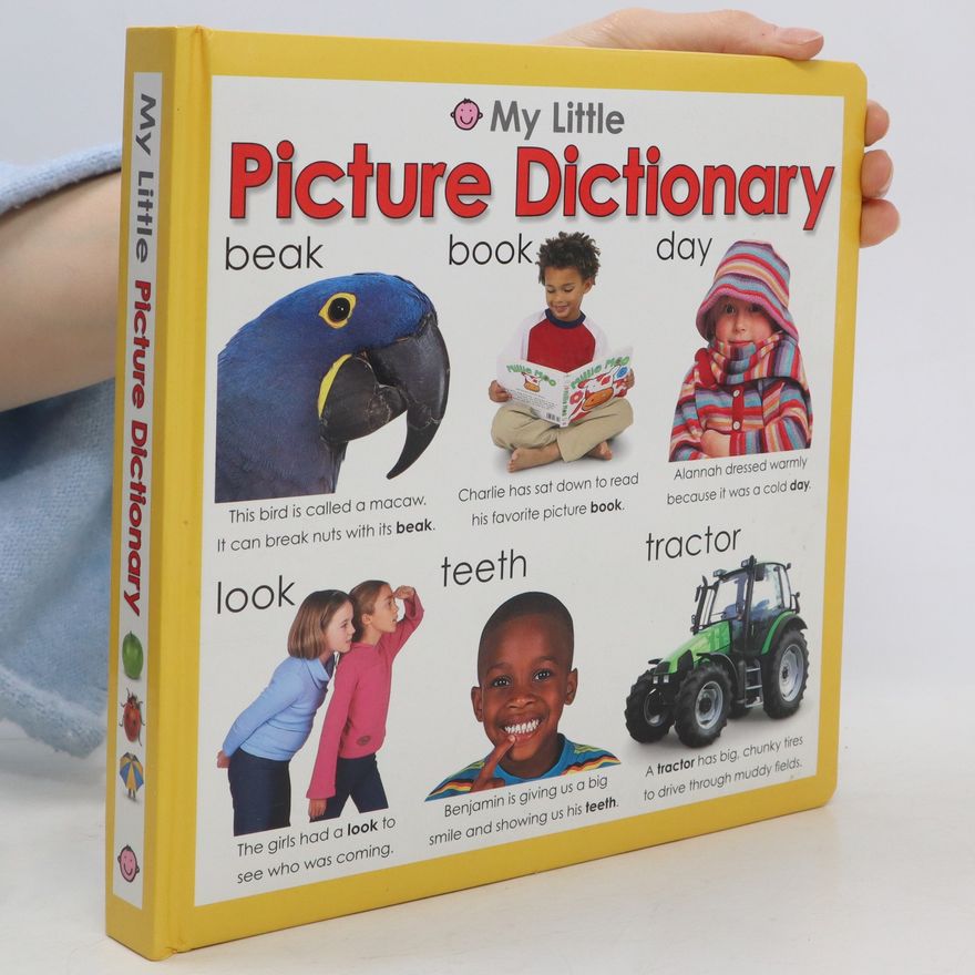 Kolektiv autorů My Little Picture Dictionary