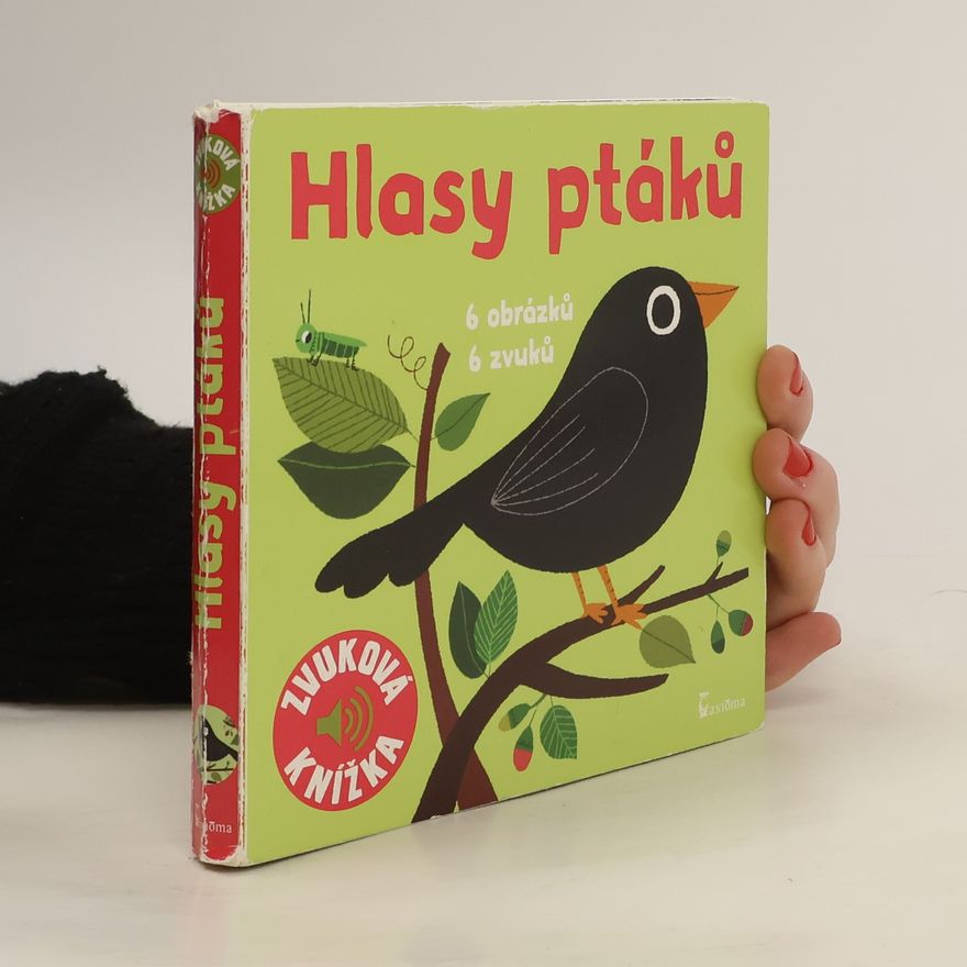 Marion Billet Hlasy ptáků : 6 obrázků, 6 zvuků