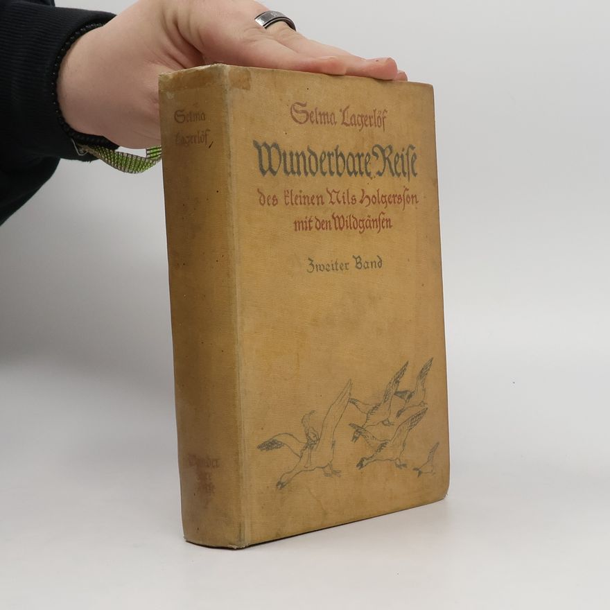 Selma Lagerlöf Wunderbare Reise des kleinen Nils Holgersson mit den Wildgänsen II.