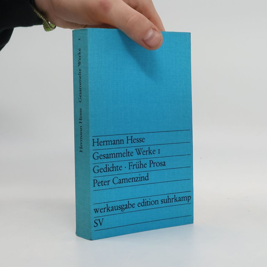 Hermann Hesse Gesammelte Werke I