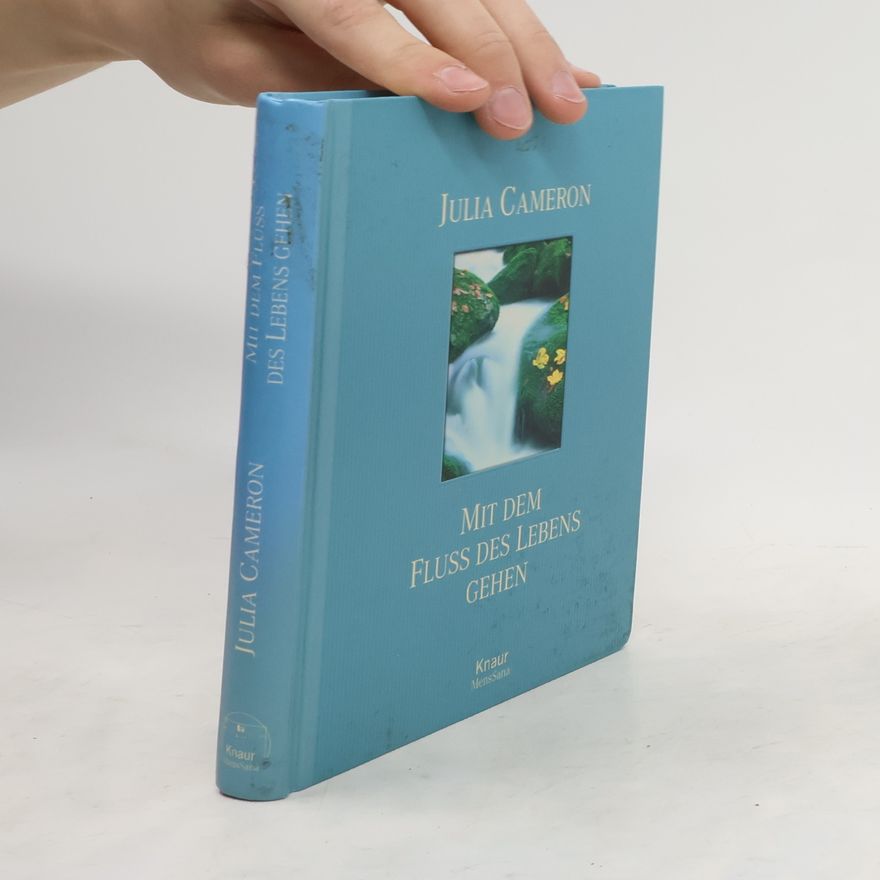Julia Cameron Mit dem Fluss des Lebens gehen. Veränderungen als Chance