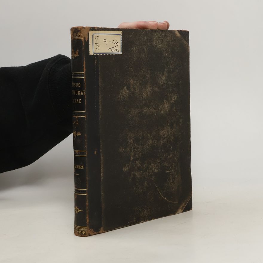 Francisco de Hummelauer Numeros