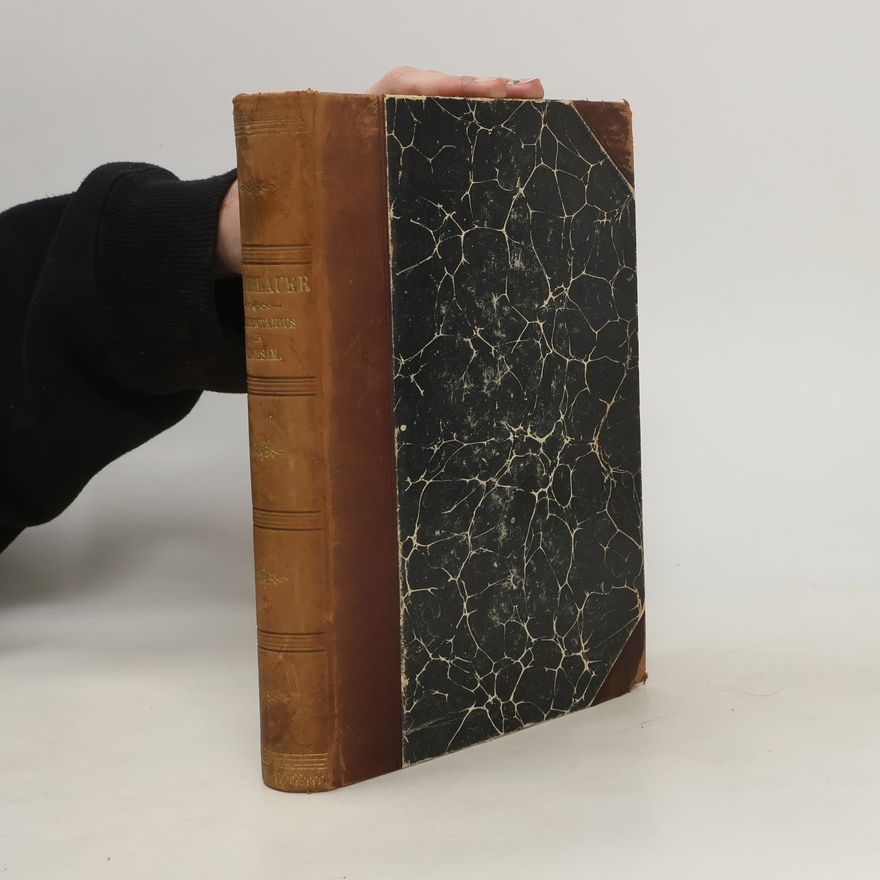 Francisco de Hummelauer Cursus Scripturae Sacrae. Genesim