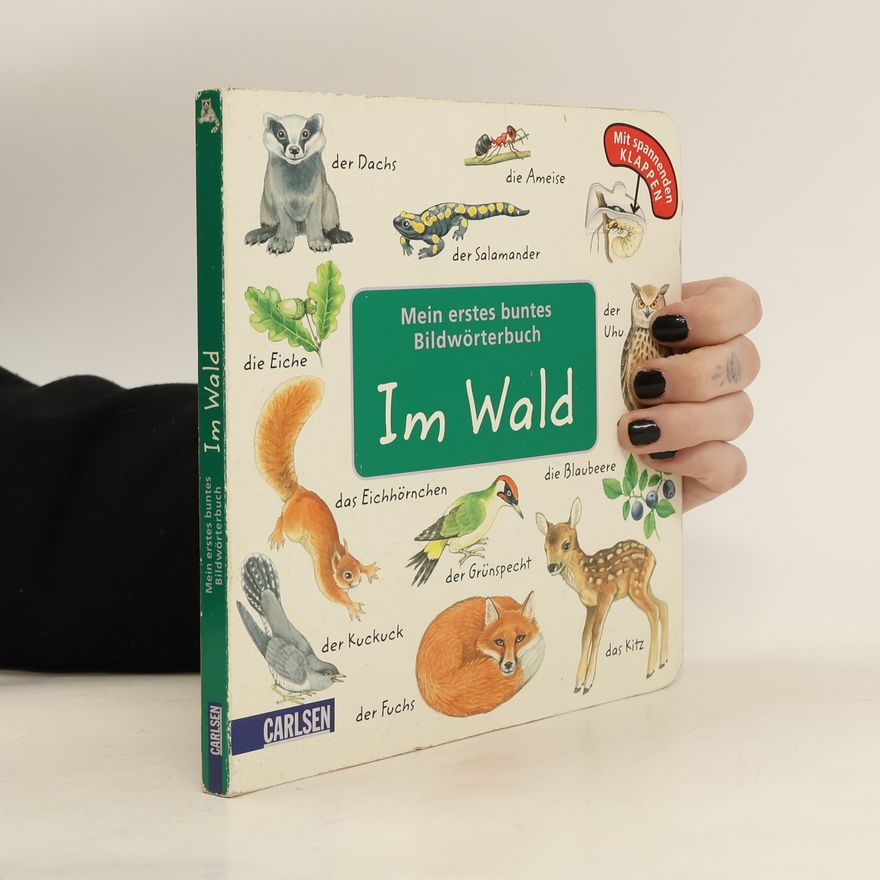 Christine Henkel Mein erstes buntes Bildwörterbuch - im Wald