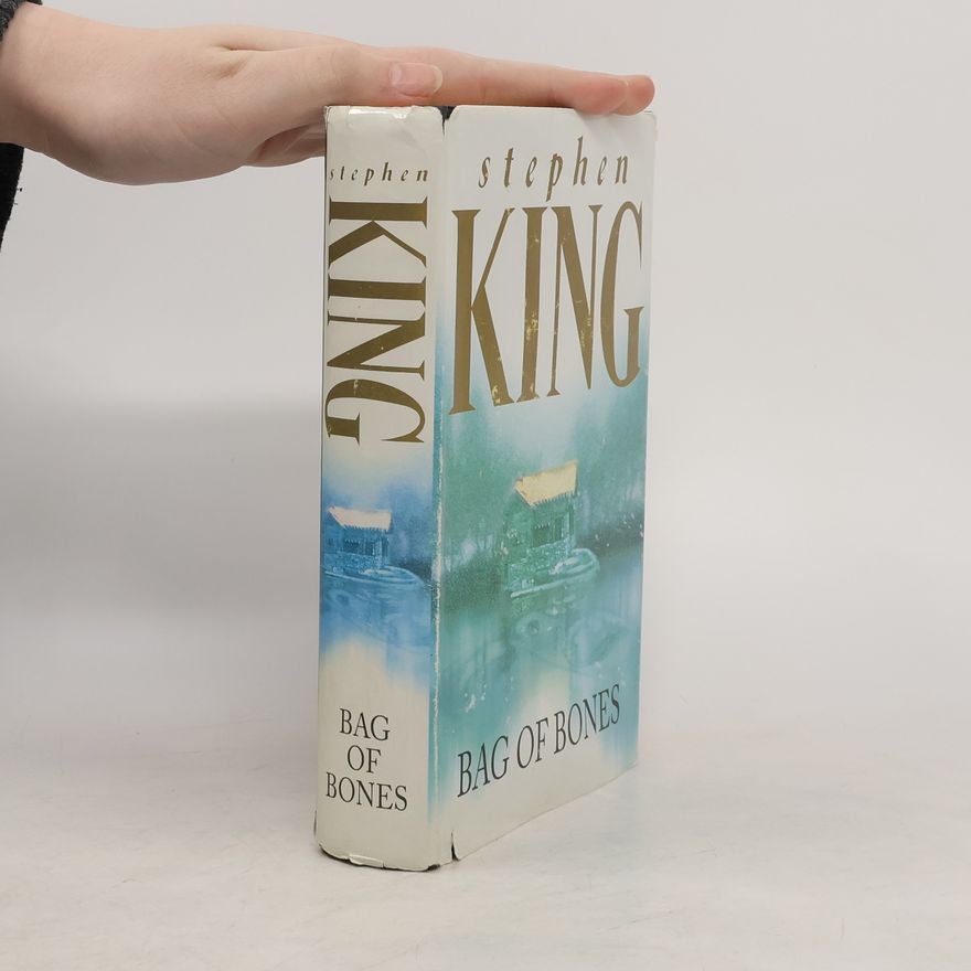 Stephen King Bag of Bones
