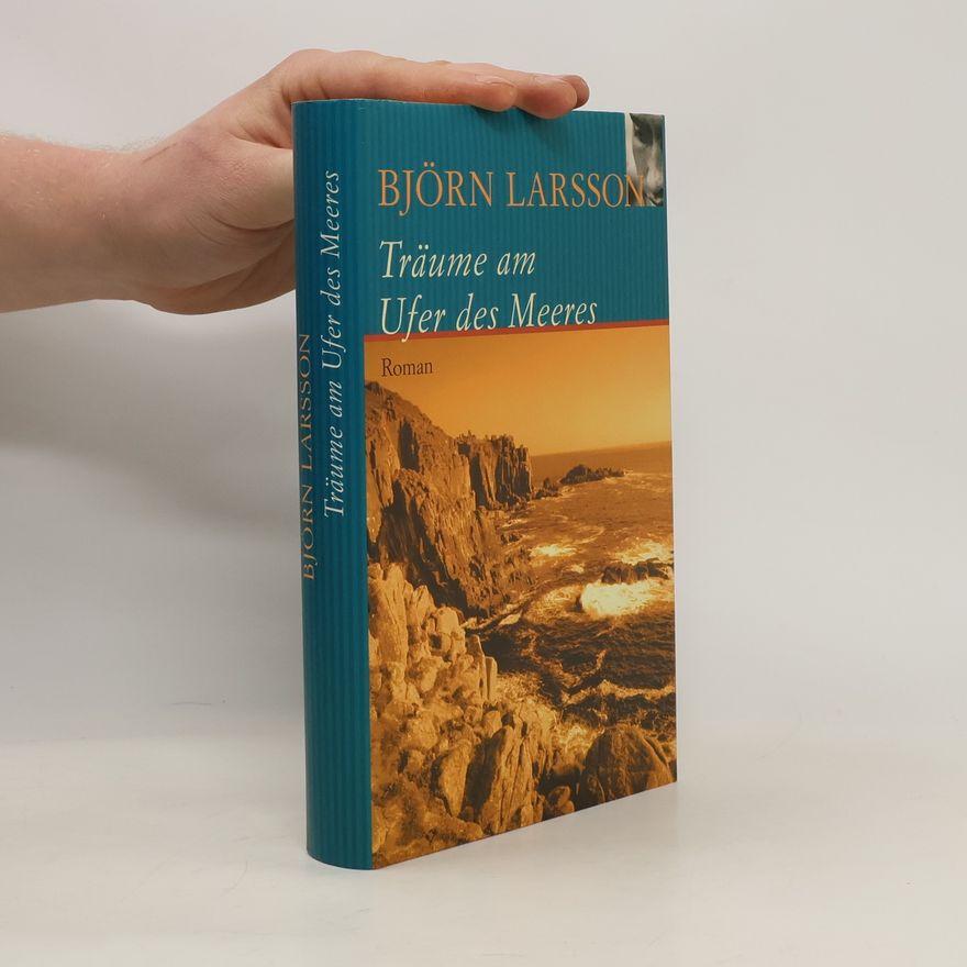 Björn Larsson Träume am Ufer des Meeres