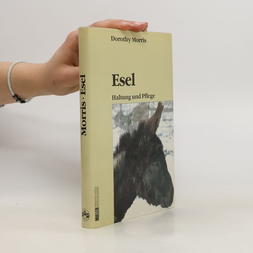 Dorothy Morris Esel