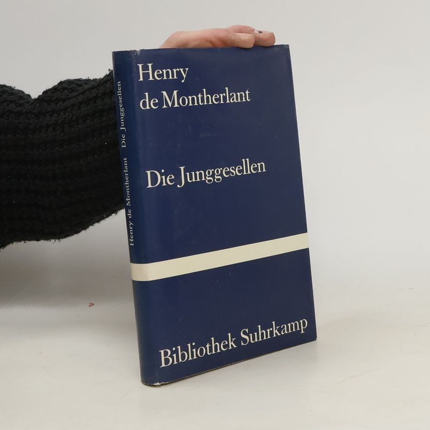 Ernst Sander Die Junggesellen. Roman