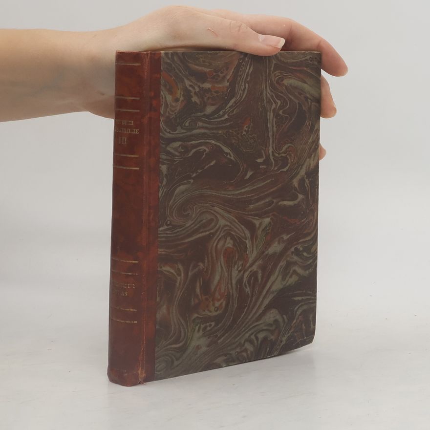 Alexandre Dumas der Ältere Die Drei Musketiere III