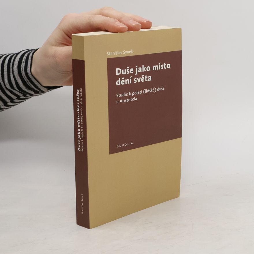 Stanislav Synek Duše jako místo dění světa
