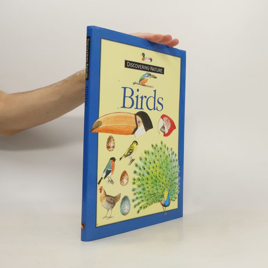 kolektiv Birds