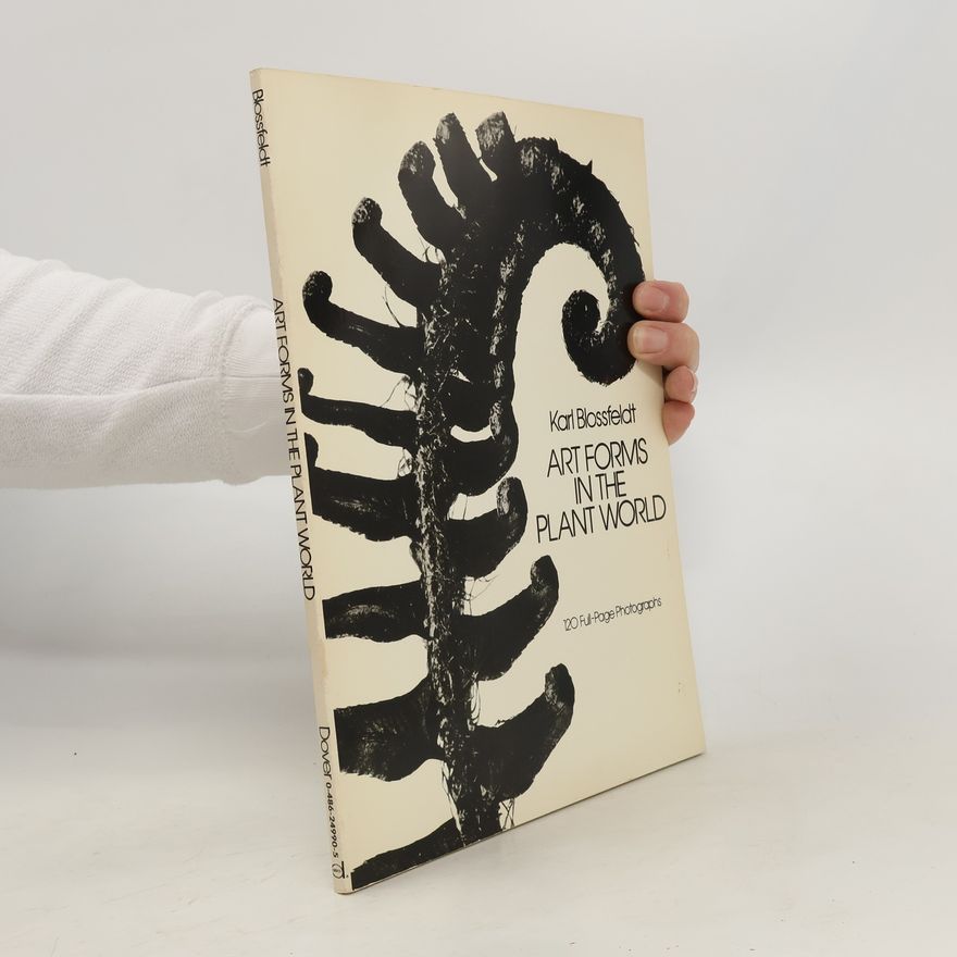 Karl Blossfeldt Art Forms in the Plant World