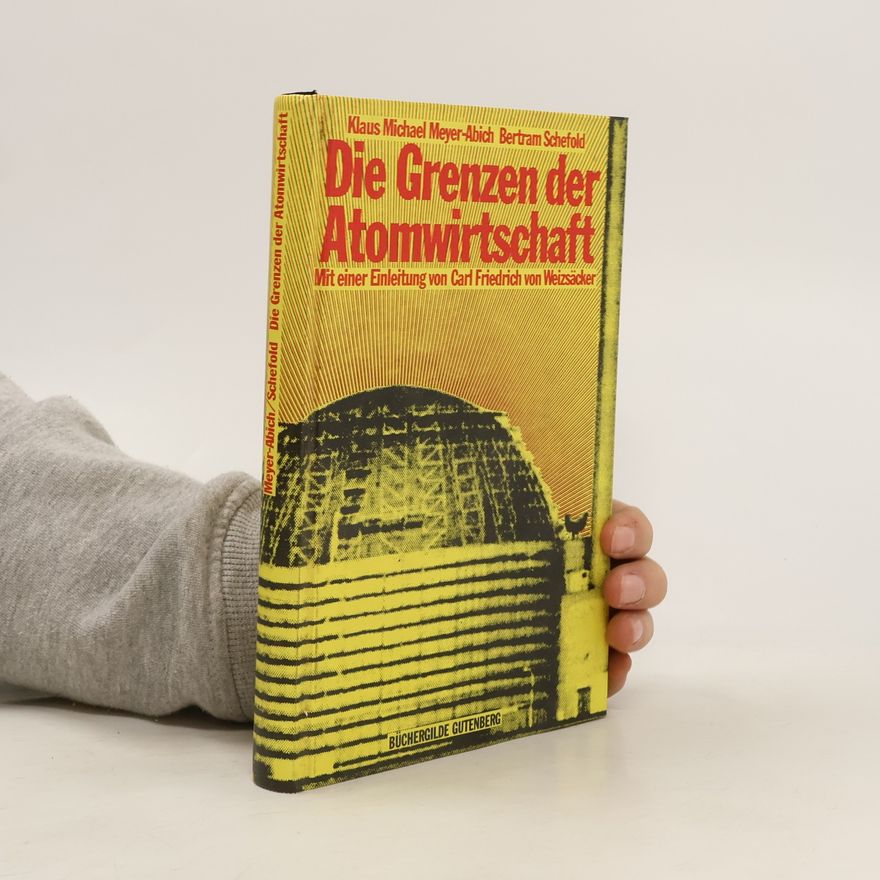 Klaus Michael Meyer-Abich Die Grenzen der Atomwirtschaft
