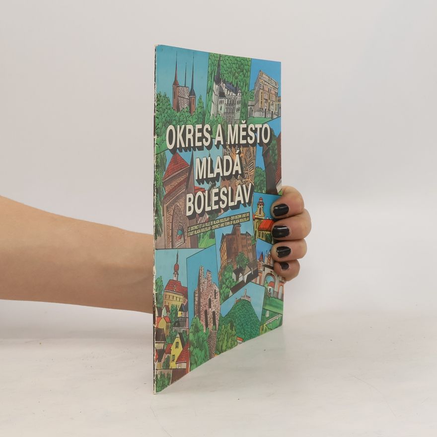 Kolektiv autorů Okres a město Mladá Boleslav