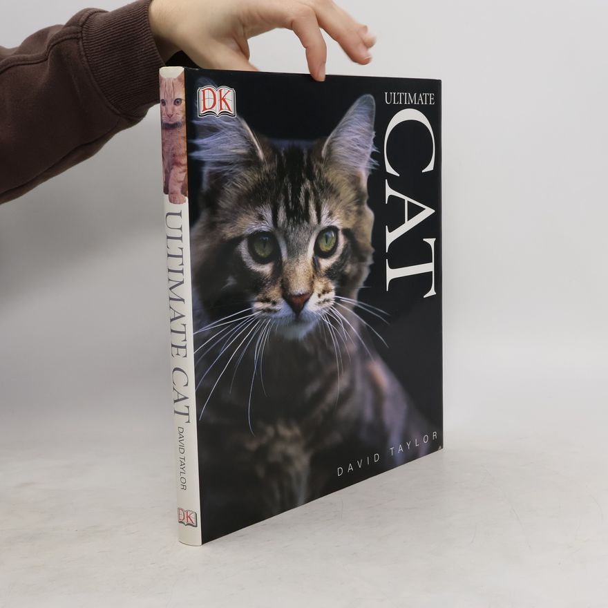 David Conrad Taylor Ultimate Cat