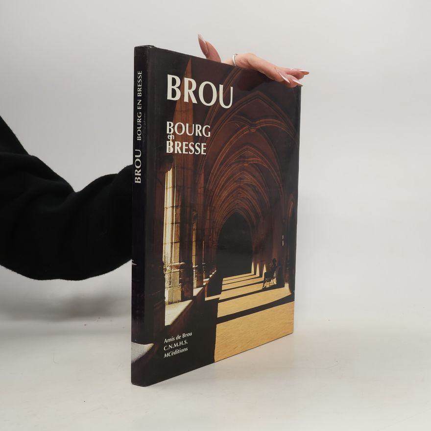 Kolektiv autorů Brou. Bourg en Bresse