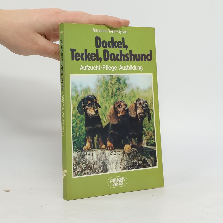 Marianne Wein Gysae Dackel, Teckel, Dachshund