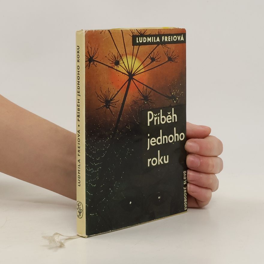 Vladimír Bidlo Příběh jednoho roku
