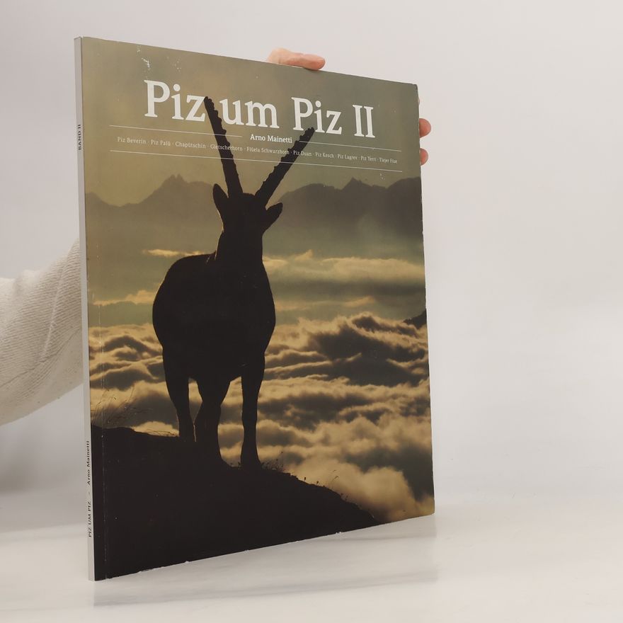 Arno Mainetti Piz um Piz II. Arno Mainetti - Ein Bündner und seine Bündner