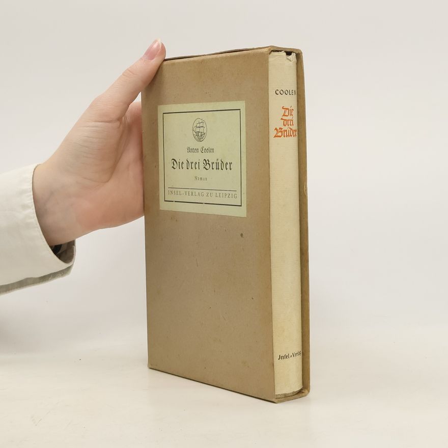 Antoon Coolen Die drei Brüder
