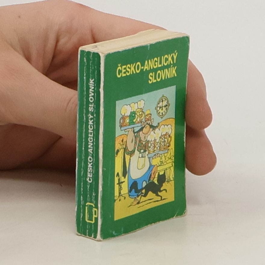 Autorenkollektiv Česko-Anglický slovník Czech-English Dictionary