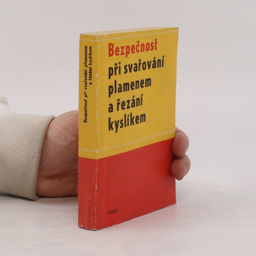 Kolektív autorov Bezpečnost při svařování plamenem a řezání kyslíkem