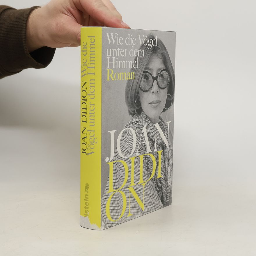 Joan Didion Wie die Vögel unter dem Himmel