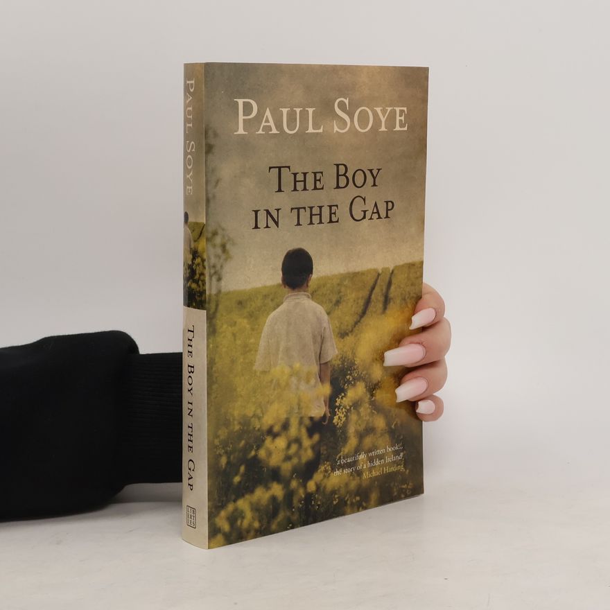 Paul Soye The Boy in the Gap