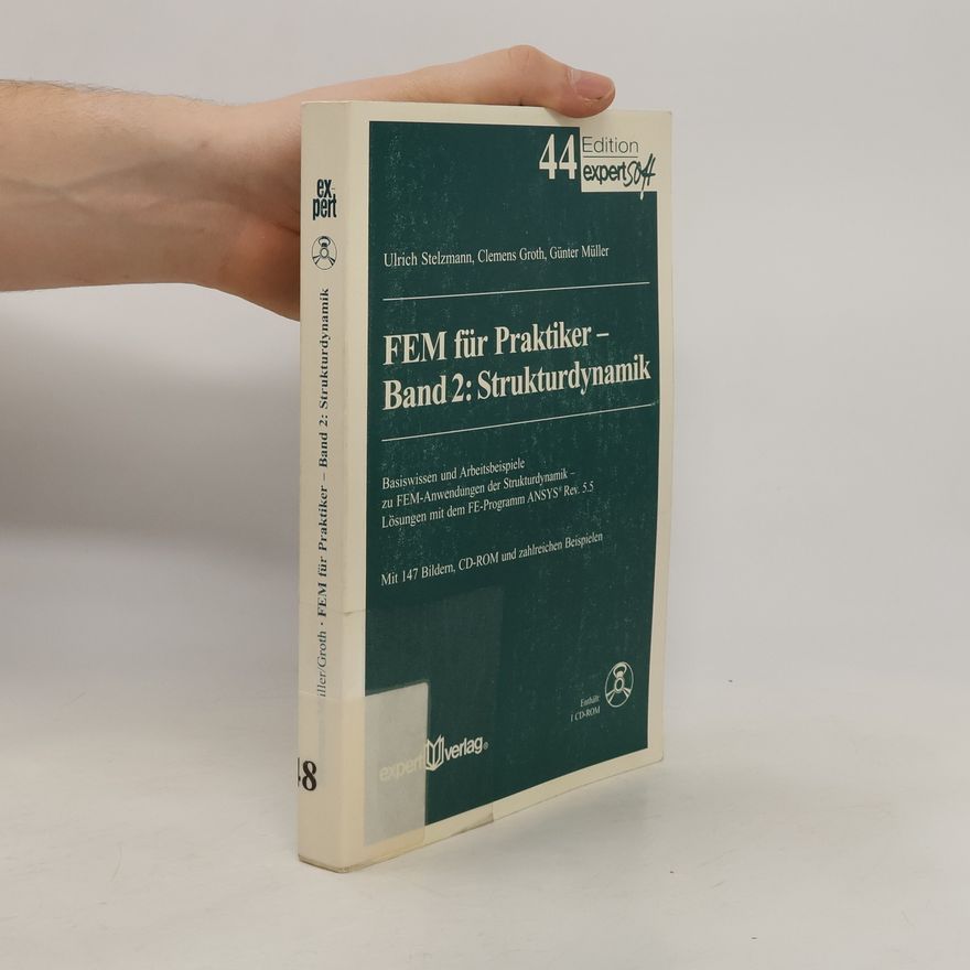 Autorenkollektiv FEM für Praktiker 2