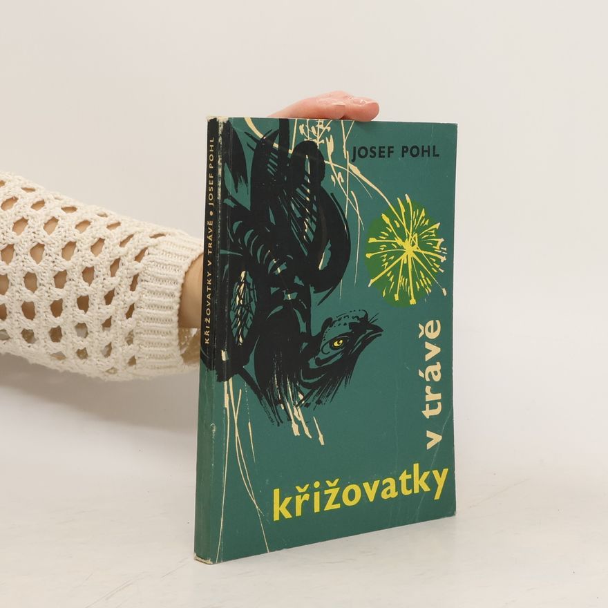 Josef Pohl Křižovatky v trávě