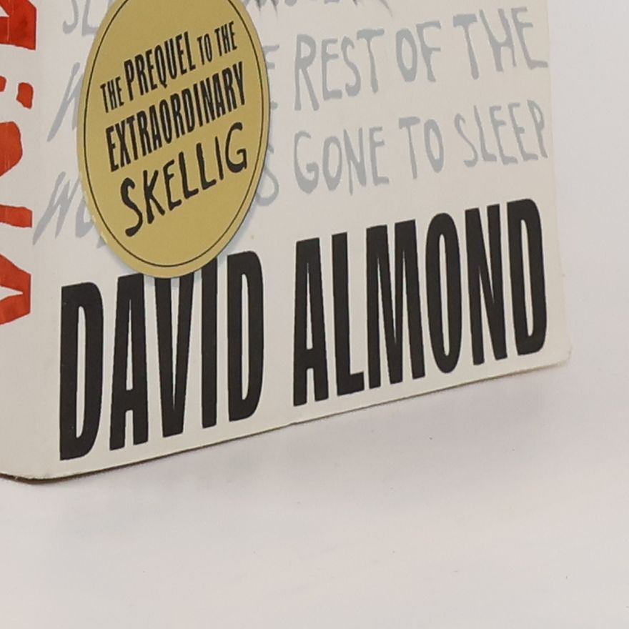 David Almond My Name is Mina