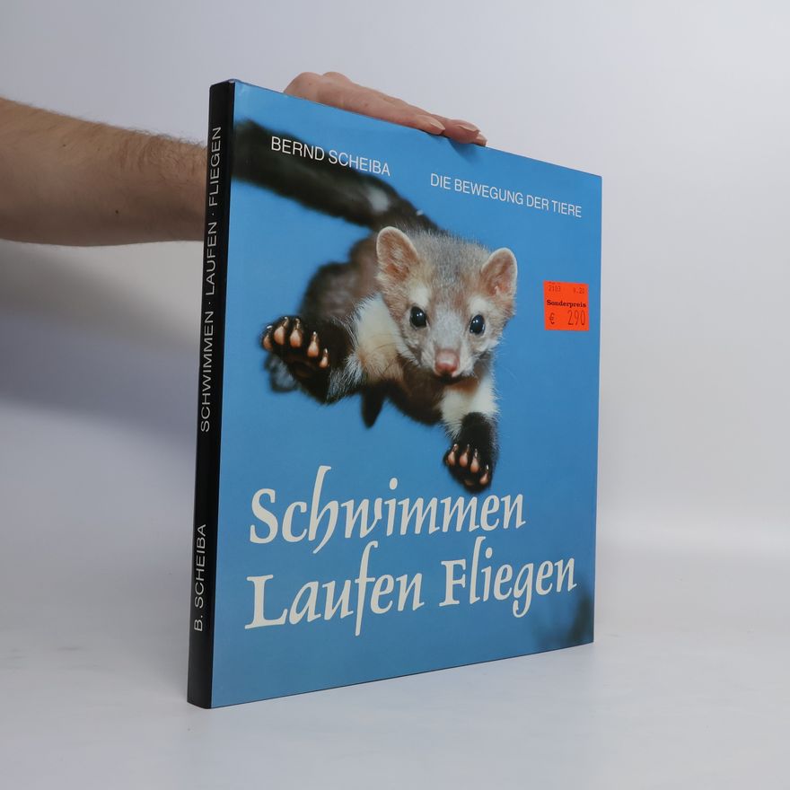 Bernd Scheiba Schwimmen, Laufen, Fliegen