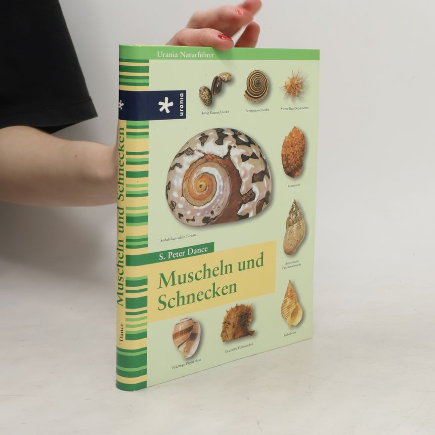 S. Peter Dance Muscheln und Schnecken