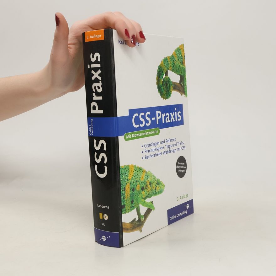 Kai Laborenz CSS-Praxis