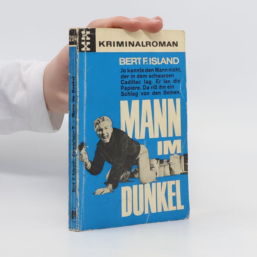 Bert F. Island Mann im Dunkel
