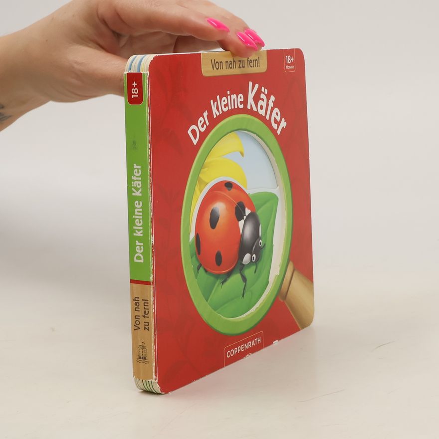 Yousun Koh Der kleine Käfer