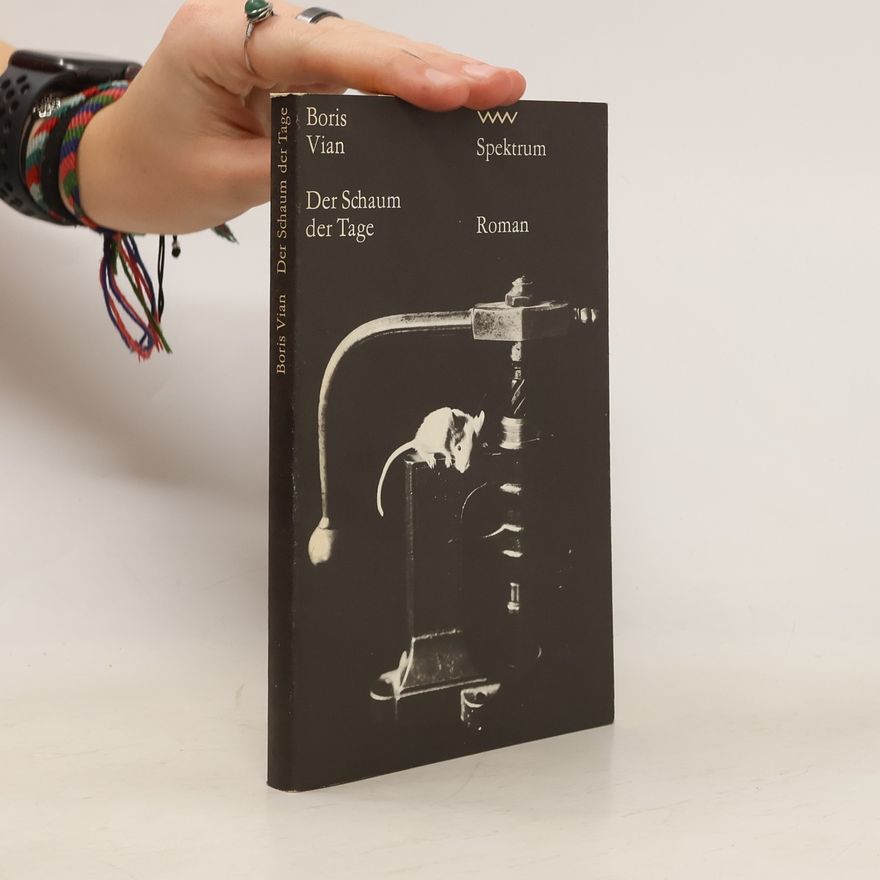 Boris Vian Der Schaum der Tage