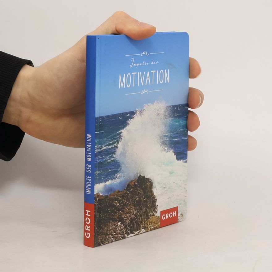 Joachim Groh Impulse der Motivation