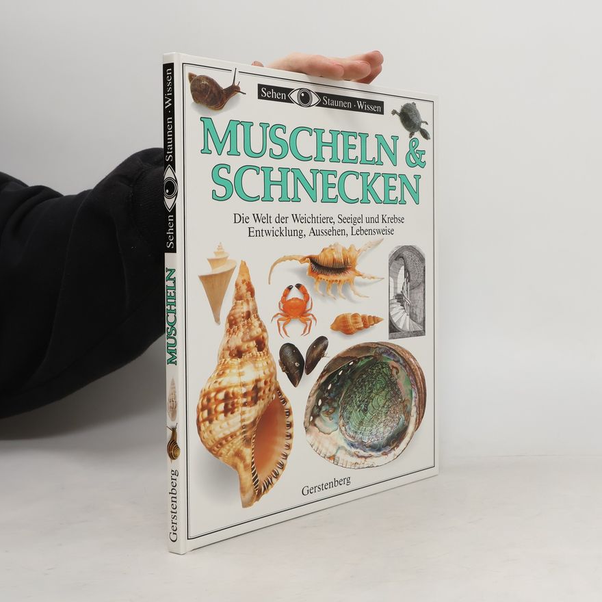 Alex Arthur Muscheln & Schnecken