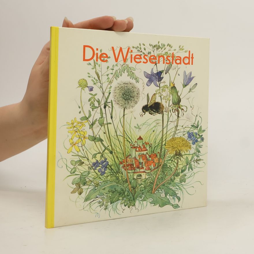 Marga Müller Die Wiesenstadt
