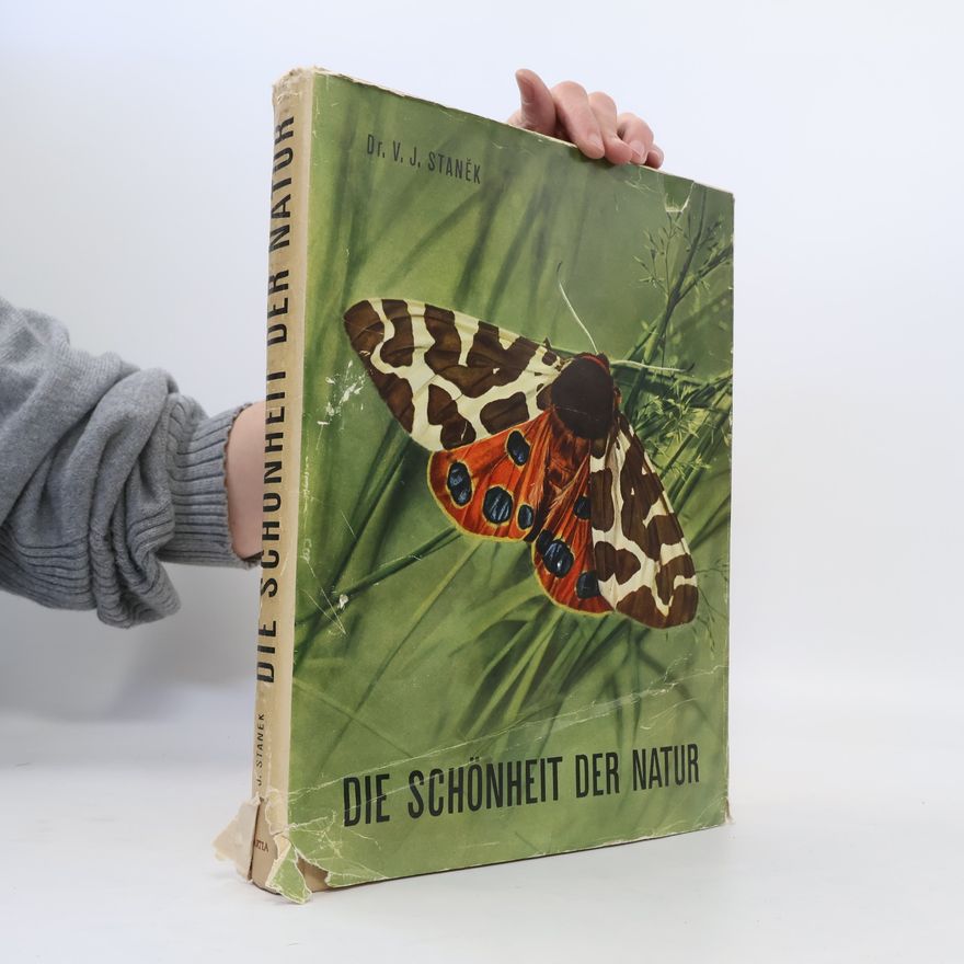 Václav Jan Staněk Die Schönheit der Natur