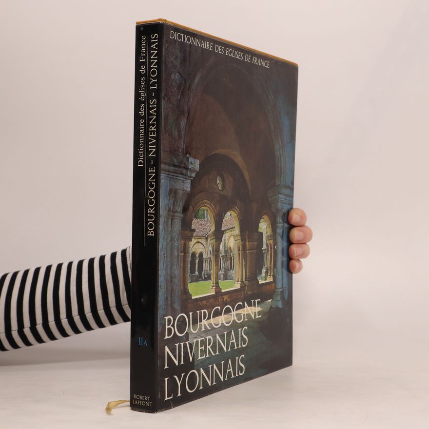 Kolektiv autorů Dictionnaire des eglises de France