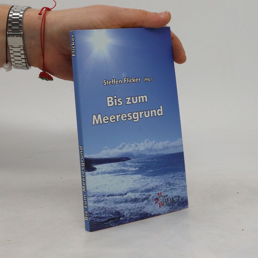 Steffen Flicker Bis zum Meeresgrund