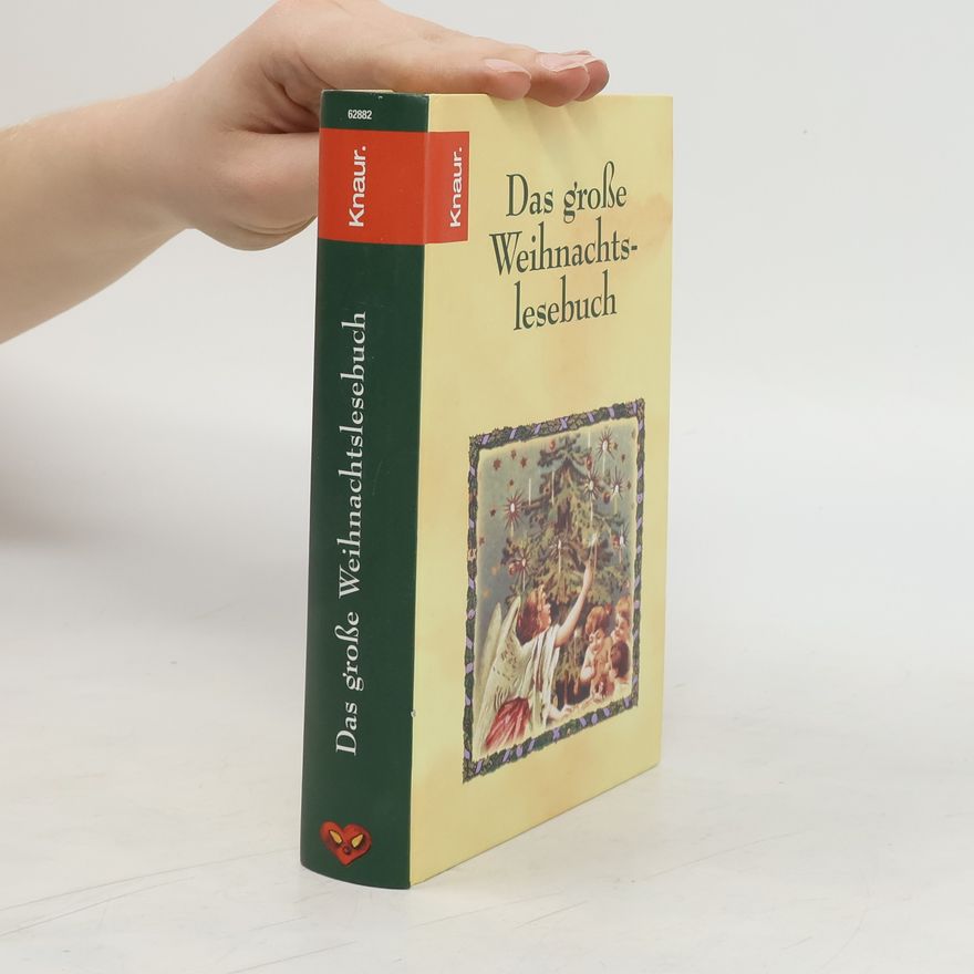 Holger Wolandt Das große Weihnachtslesebuch