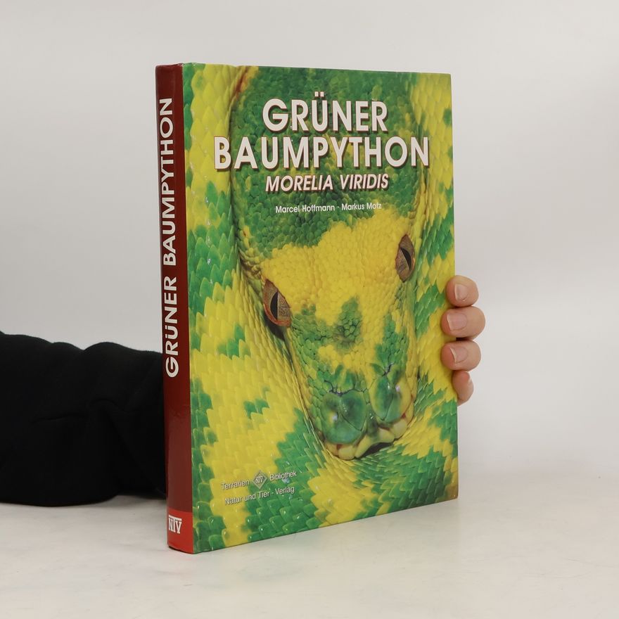 Marcel Hoffmann Grüner Baumpython