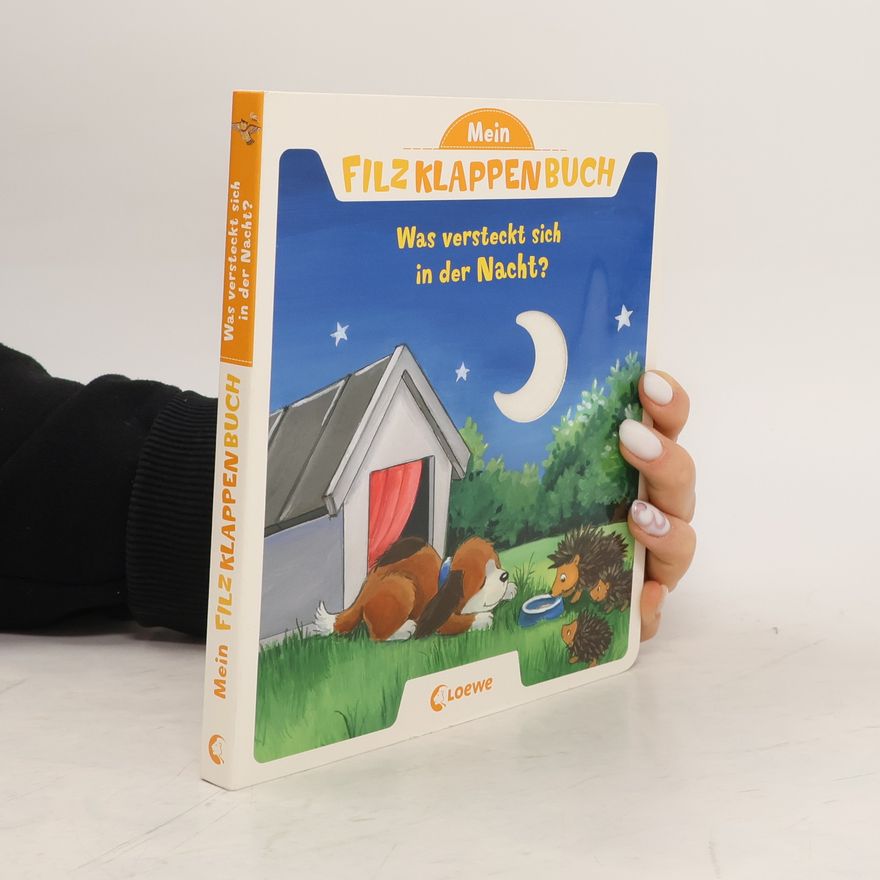 Antje Flad Mein Filzklappenbuch - was versteckt sich in der Nacht?