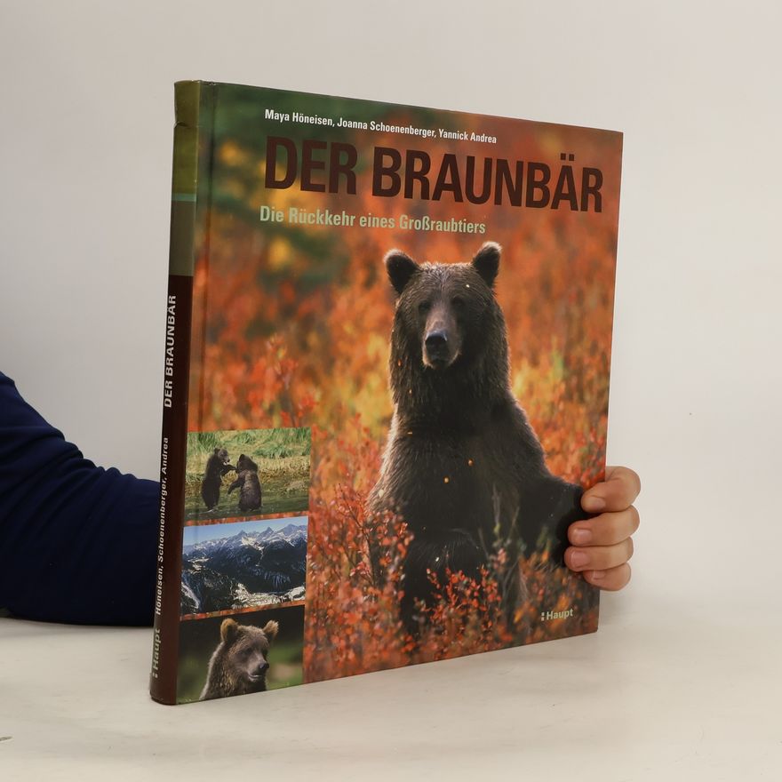 Maya Höneisen Der Braunbär