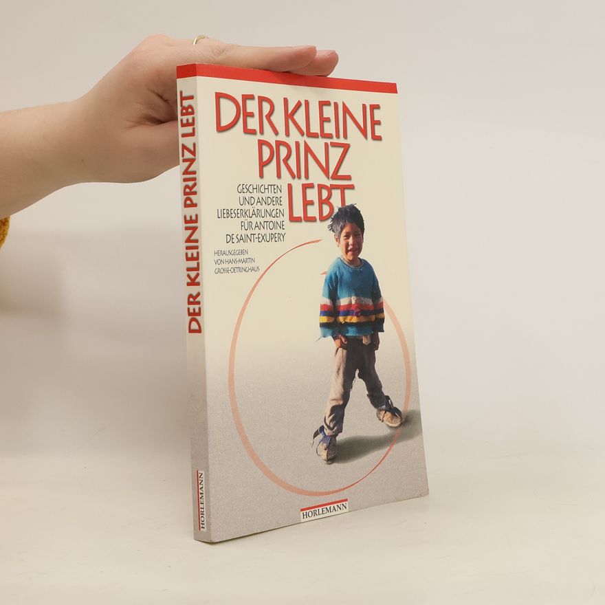Hans-Martin Große-Oetringhaus Der Kleine Prinz lebt. Geschichten und andere Liebeserklärungen für Antoine de Saint-Exupéry